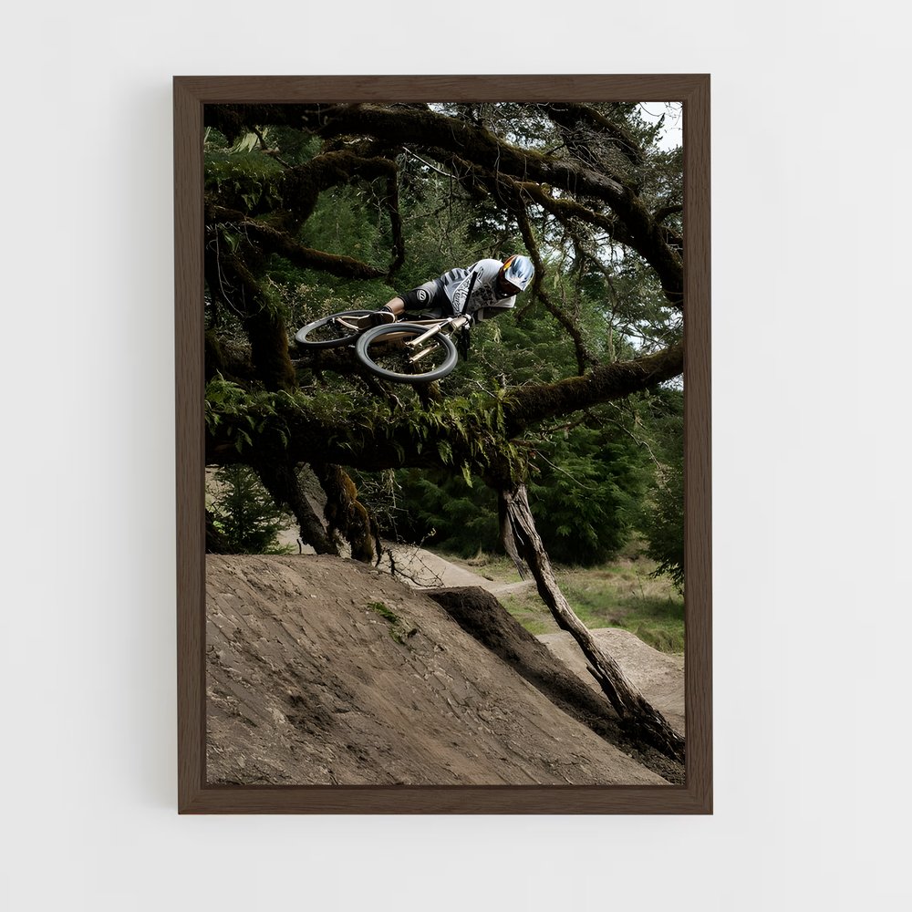 Poster Brandon de semenuk – affiche Cyclisme (vue 5)